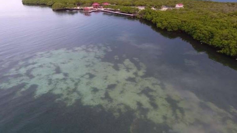 Cross Cay, Belize, Belize